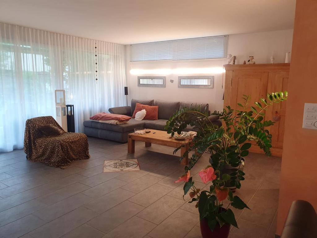 Casa Nadja, Naehe Skigebiet Flims-Lax Ems Ngoại thất bức ảnh